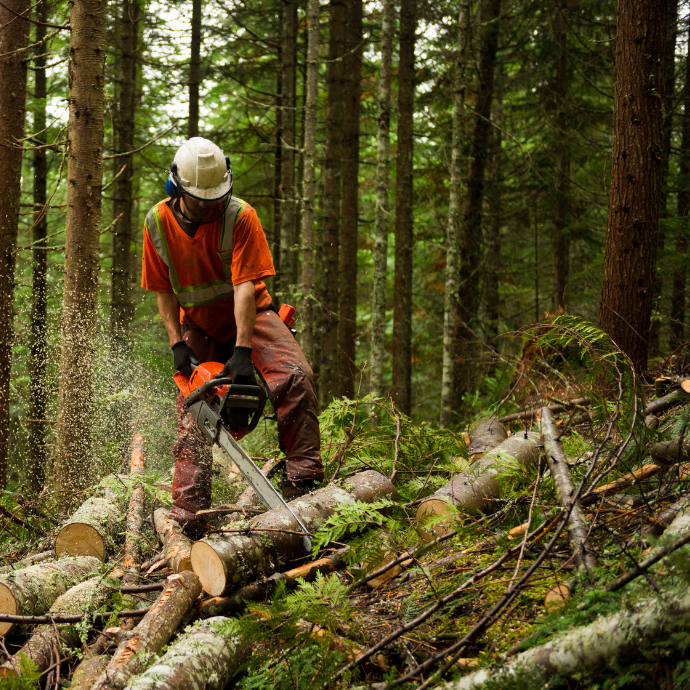 First Aid in the Workplace – With a Wilderness Section