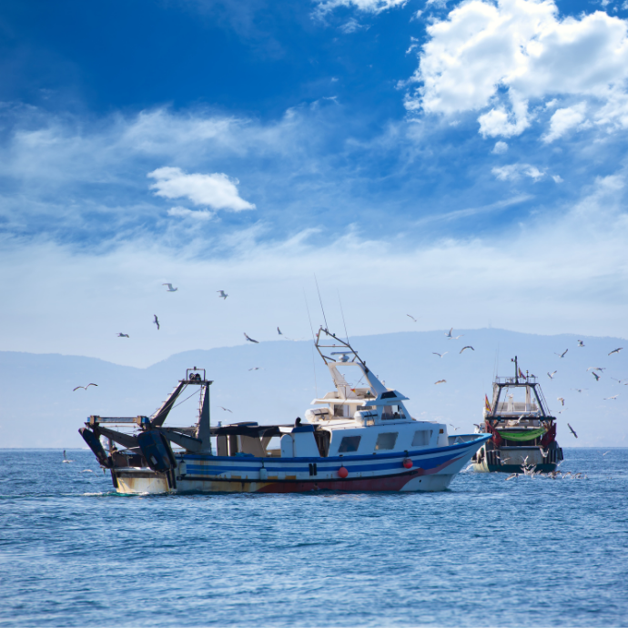 First Aid in the Workplace – With an at Sea Section
